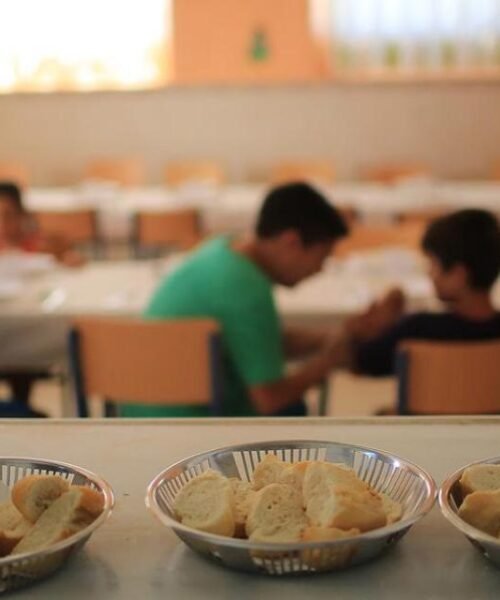 Anunciaron refuerzo de calidad y la suma de complementos para Comedores Escolares