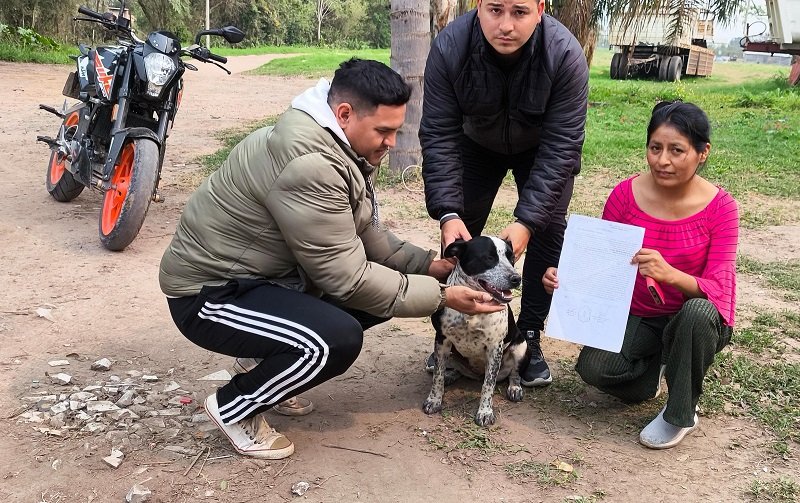 Policías animaleros: encontraron una perra que se había perdido hace seis días