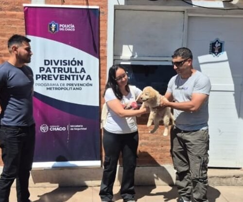 Compró un perro cachorro de raza y lo tuvo que devolver porque era robado