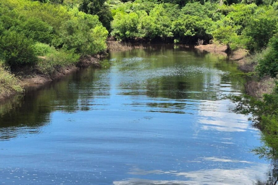La APA advierte que ninguna laguna de Resistencia está habilitada como balneario