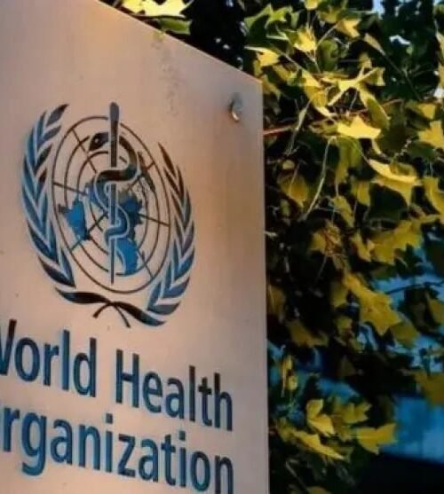 La Asamblea Mundial de la Salud ratificó oficialmente la salida de la Argentina de la OMS