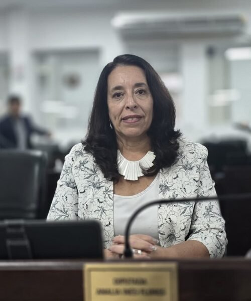 Flores propone crear entornos digitales seguros en las escuelas