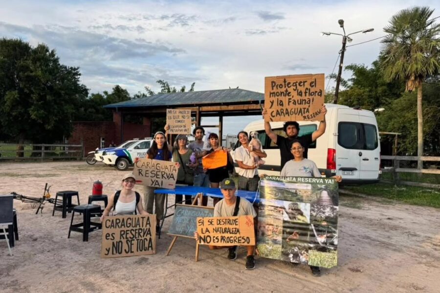 Misión Eco sumó el respaldo clave del CONICET para declarar Reserva Natural al Parque Caraguatá