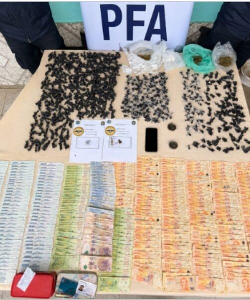 Resistencia: La Policía Federal detuvo a una mujer y secuestró droga valuada en más de 5,5 millones de pesos