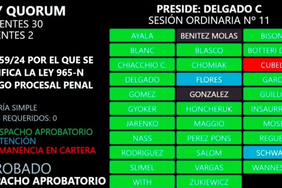 Leandro Zdero celebró la aprobación de la Ley de Reiterancia: «Se terminó la puerta giratoria»