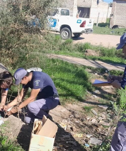 Conmoción en Quitilipi: encuentran un cráneo humano en un basural