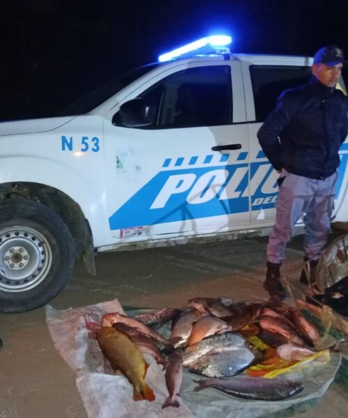 Colonia Benítez: decomisaron 23 pescados fuera de medida que eran transportados en un carro de mano