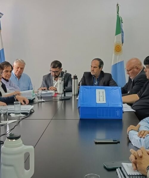 Judiciales expusieron en la Legislatura y exigieron el archivo del proyecto de ley de «desenganche»