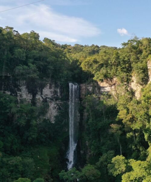 Misiones judicializa la venta de tierras a extranjeros y desafía el DNU de Milei tras el fallo de la Corte